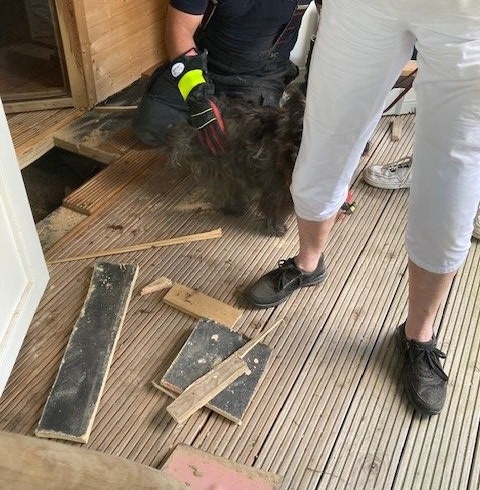 EB 387 „TH 0 – Hund unter Sauna eingeklemmt“ OT Schötmar