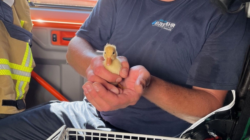 EB 341 „TH 0 – Zwei Küken vor einem Wasserfall“ OT Bad Salzuflen