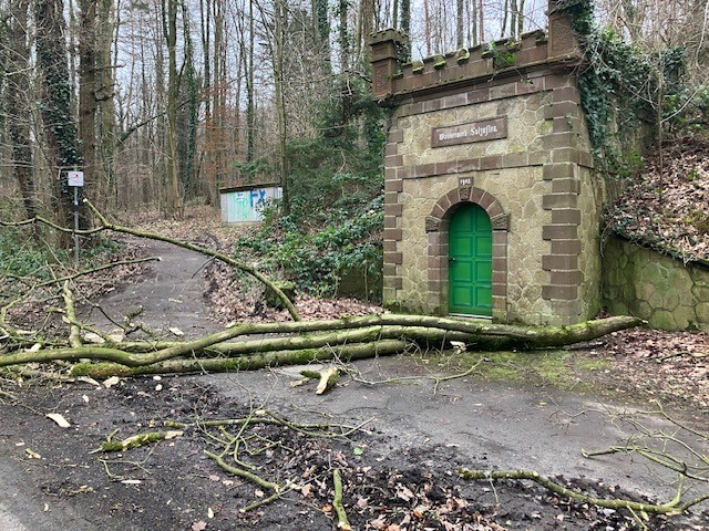 EB 0011 „TH 1 – Baum auf Fahrbahn“ OT Bad Salzuflen