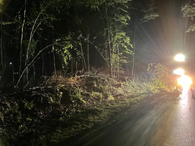 EB 406 „TH 0 – Baum auf Fahrbahn“ OT Bad Salzuflen