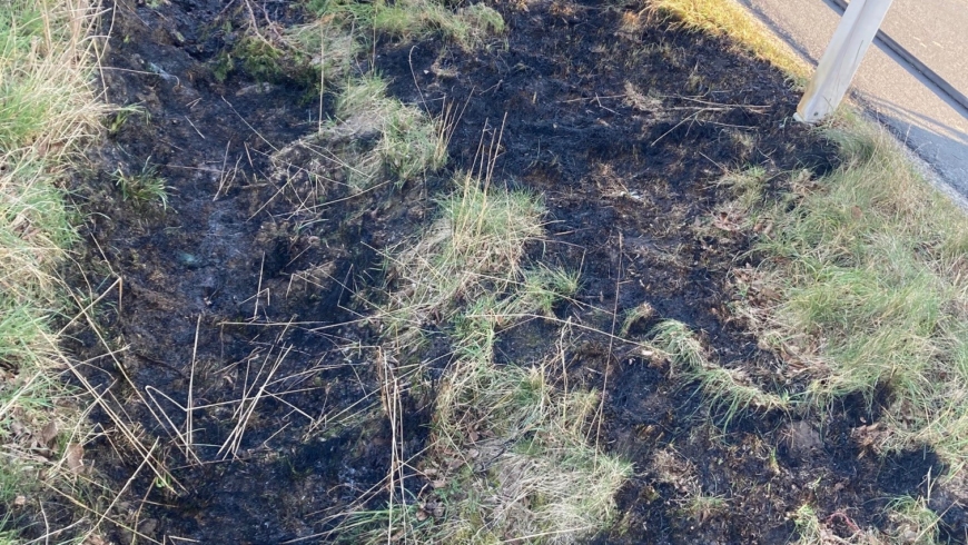 EB 230 „Feuer Fläche/Wald 1“ OT Holzhausen