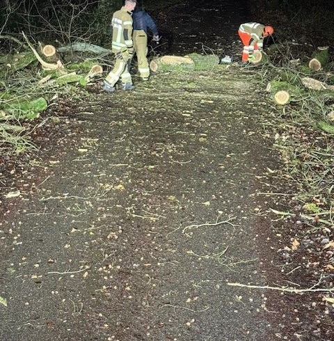 EB 0022 „ TH 1 – Baum über der Fahrbahn“ OT Bad Salzuflen