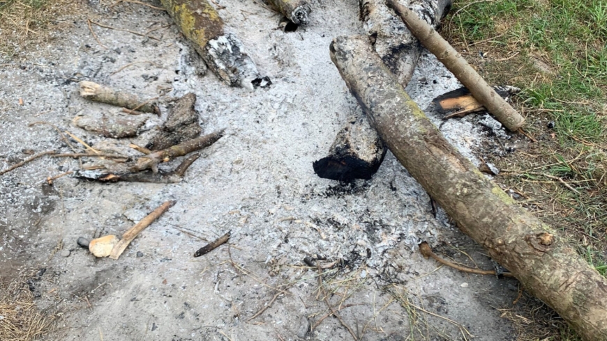 EB 424 „Feuer 1 – Brennt Baumstamm“ OT Biemsen-Ahmsen