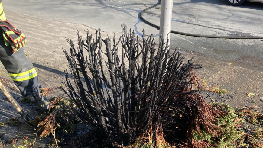 EB 192 „Feuer 1 – Kleinbrand im Freien“ OT Bad Salzuflen