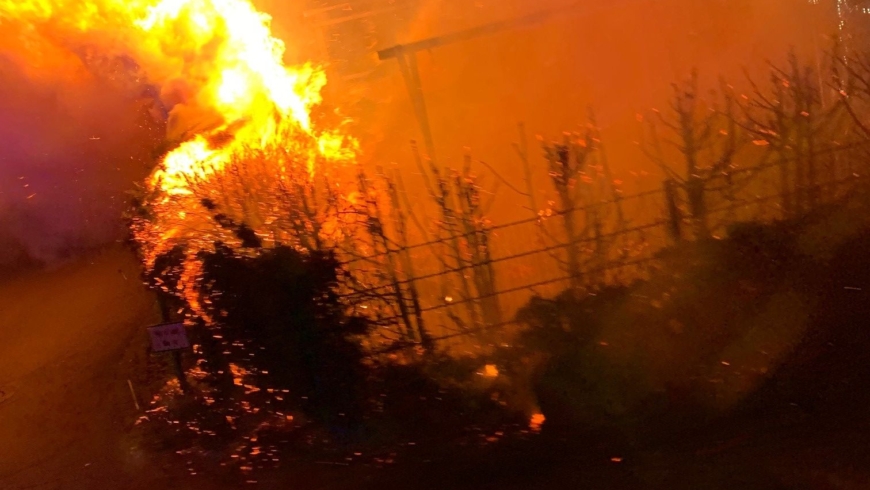 EB 001 „Feuer 1 – brennt Hecke“ OT Werl-Aspe