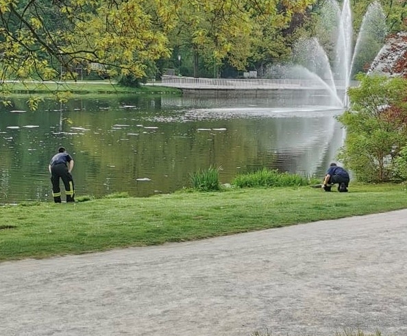 EB 316 „TH 0 – Tier klein / Ente schnappt nach Luft“ OT Bad Salzuflen