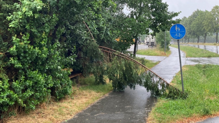 EB 428 „TH 1 – Baum auf Fahrbahn“ OT Wüsten