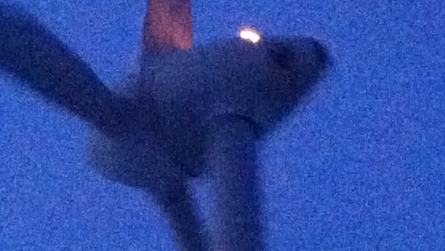 EB 030 „Feuer 1“ OT Wüsten