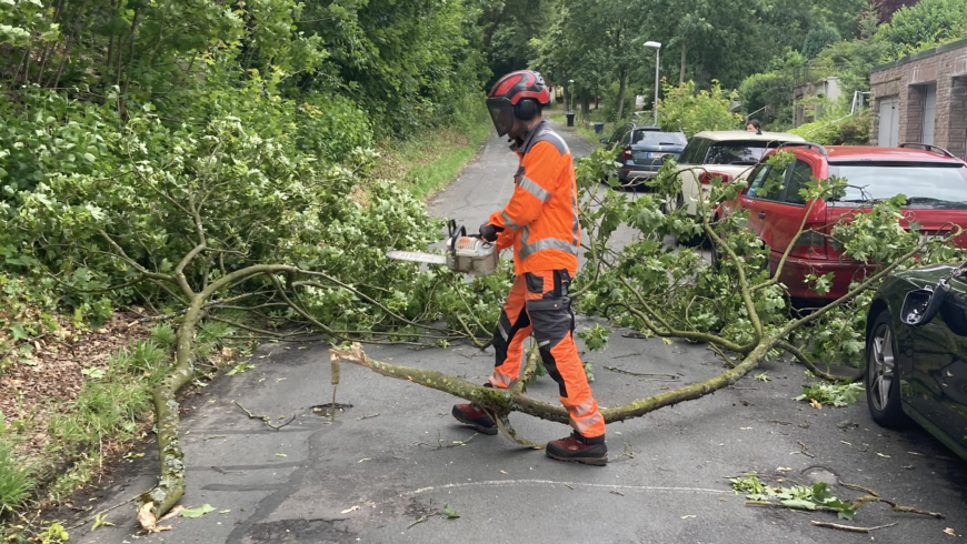 EB 454 „TH1 – Ast auf Fahrbahn“ OT Bad Salzuflen