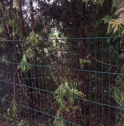 EB 612 „Feuer Fläche/Wald 2“ OT Schötmar