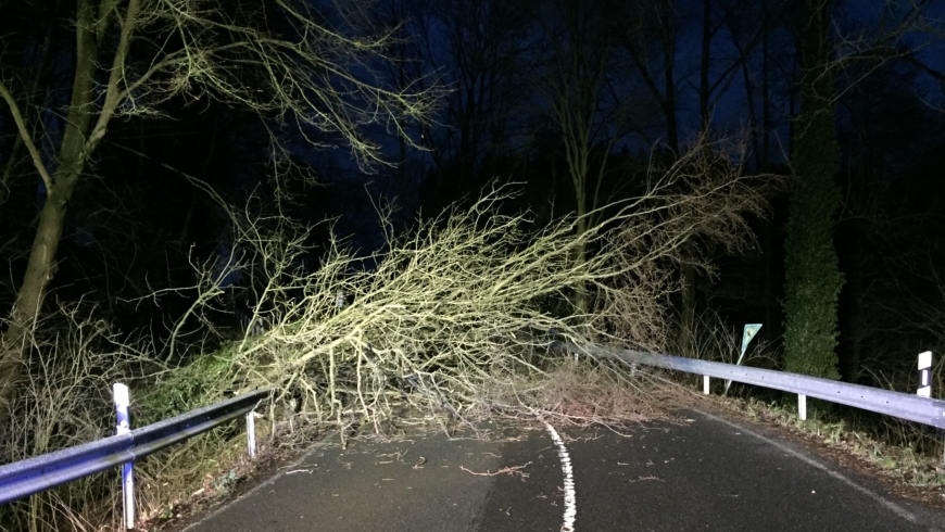 EB 089 „TH 1 – Baum auf Fahrbahn / Polizei vor Ort“ OT Wüsten