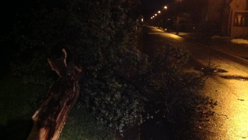 EB 180 „TH1“ OT Hölserheide