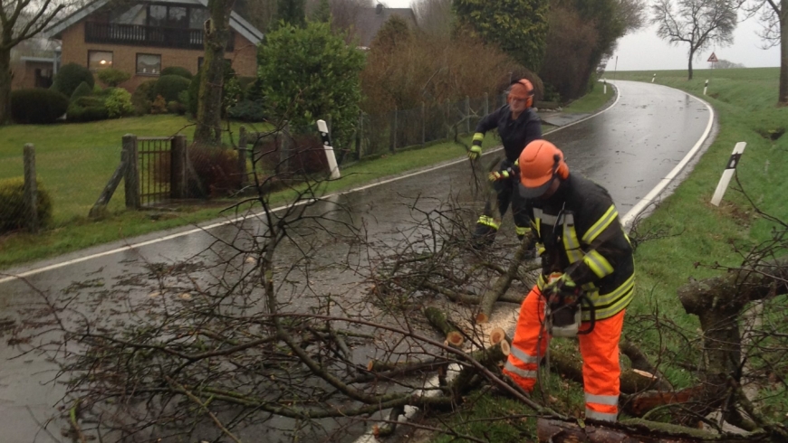 EB 064 „TH 1 – Baum auf Fahrbahn“ OT Wüsten