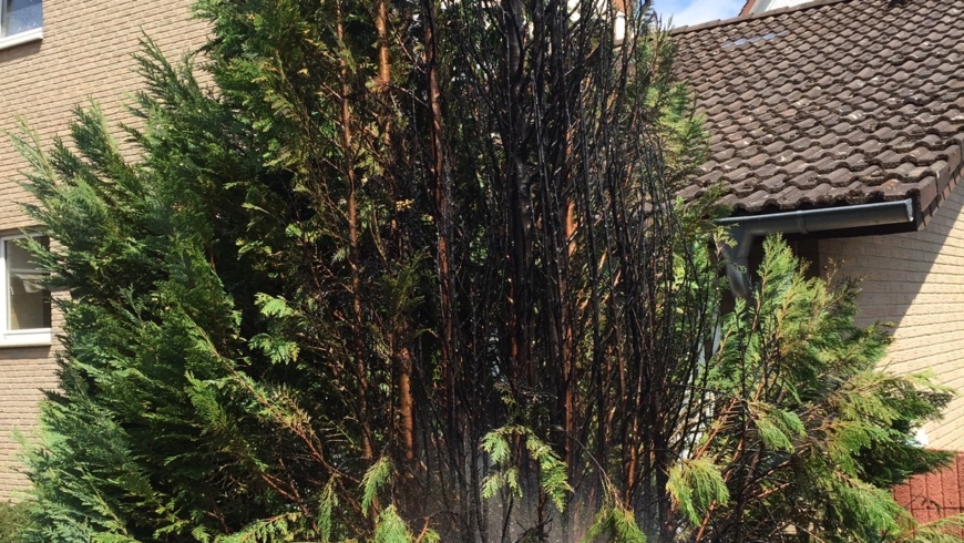 EB 199 „Feuer 1 – Brandnachschau“ OT Schötmar