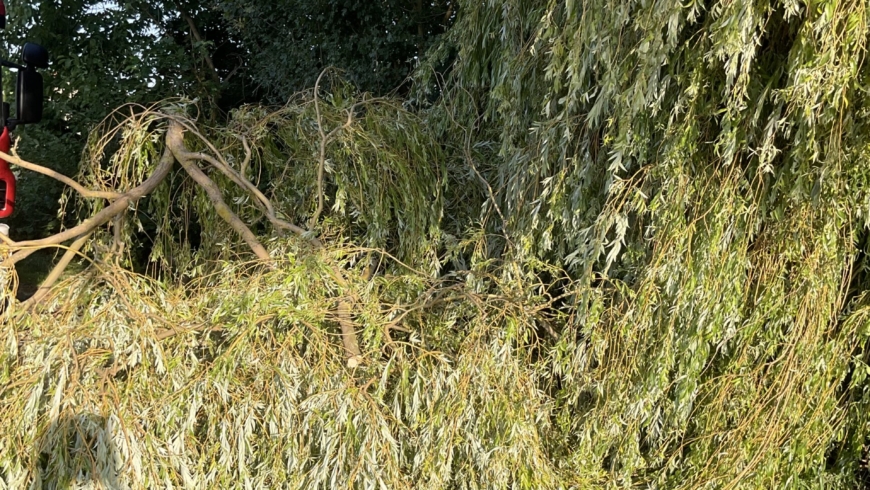 EB 472 „TH 1 – Ast über Fahrbahn“ OT Lockhausen