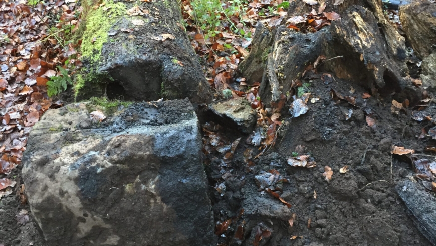 EB 601 „Ölspur – Auslaufende Betriebsstoffe nach VU“ OT Bad Salzuflen