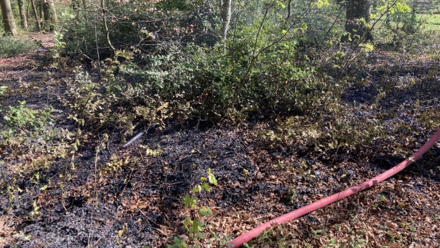 EB 269 „Feuer Wald/Fläche 1“ OT Retzen