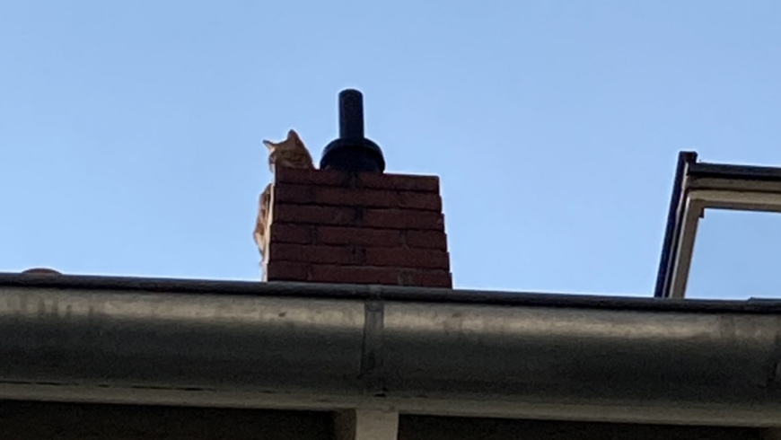 EB 312 „TH 0 – Katze auf dem Dach“