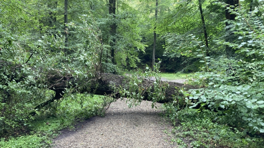 Unwetterfront sorgt für mehr als 30 Einsätze in Bad Salzuflen