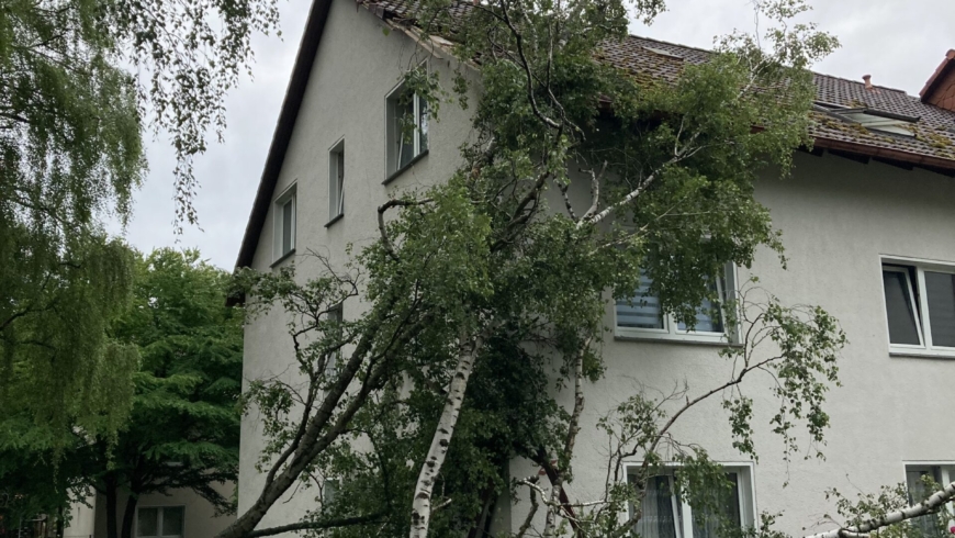 EB 450 „TH 1 – Baum auf Haus“ OT Bad Salzuflen