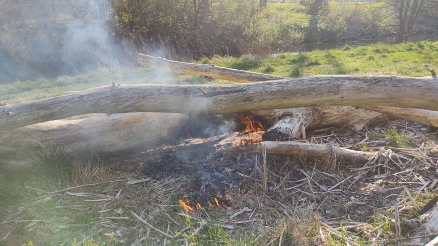 EB 286 „Feuer 1- brennt Baumstumpf“ OT Biemsen- Ahmsen