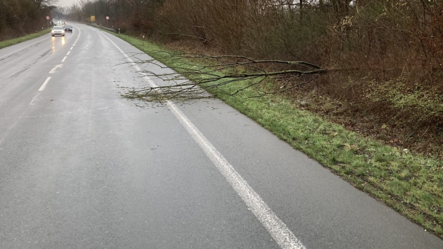 EB 046 „TH 1 – Baum auf Fahrbahn“ OT Lockhausen