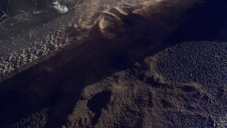 EB 205 „TH 0 – auslaufende Betriebsstoffe“ OT BAB A2