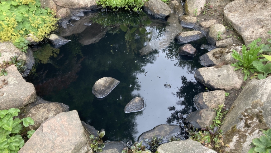 EB 439 „TH 1- Öl auf Gewässer“ OT Ehrsen- Breden