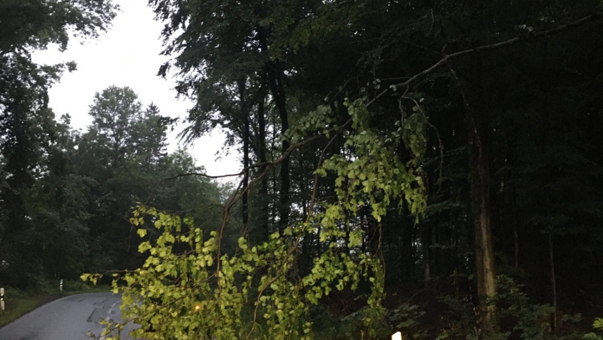 EB 308 „TH 1 – Baum auf Fahrbahn“ OT Wüsten