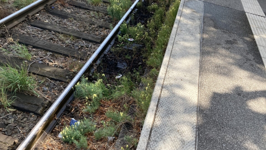 EB 536 „Feuer Fläche/Wald 1- Flächenbrand“ OT Schötmar