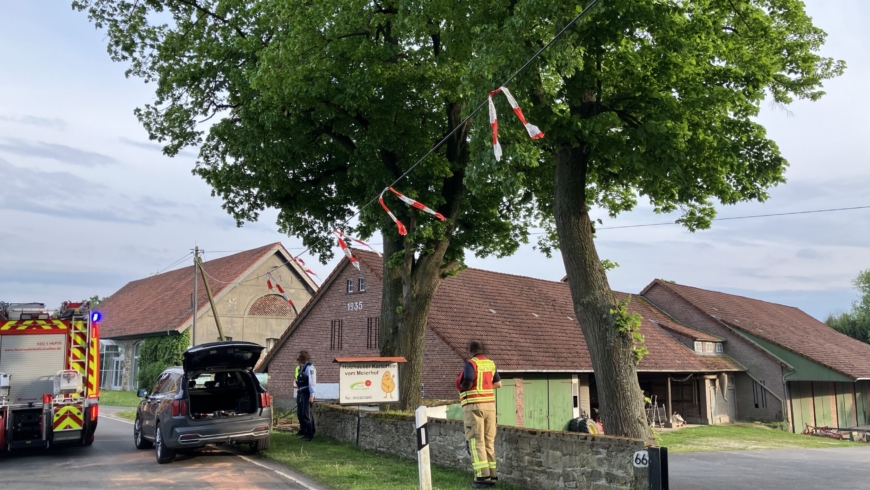 EB 329 „TH 0 – Auslaufende Betriebsstoffe nach VU“ OT Holzhausen