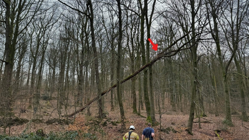 EB 124 „TH 0 – Tier in Notlage“ OT Bad Salzuflen