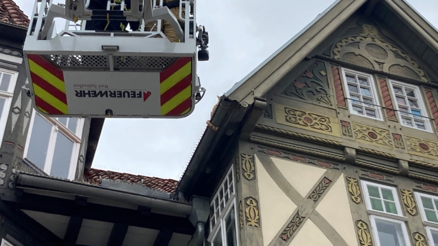 EB 566 “ TH 0 – Katze auf Dach“ OT Bad Salzuflen