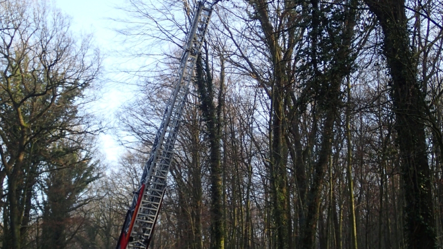 EB 160 „TH 1“ OT Wüsten