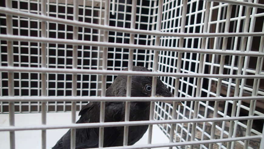 EB 316 „TH 1“ OT Schötmar