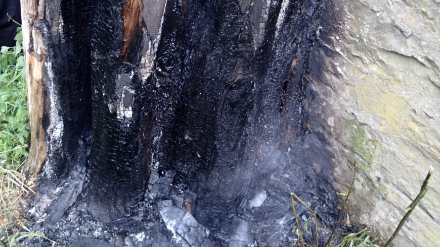 EB 246 „Feuer 1 – brennt Baum“ OT Schötmar