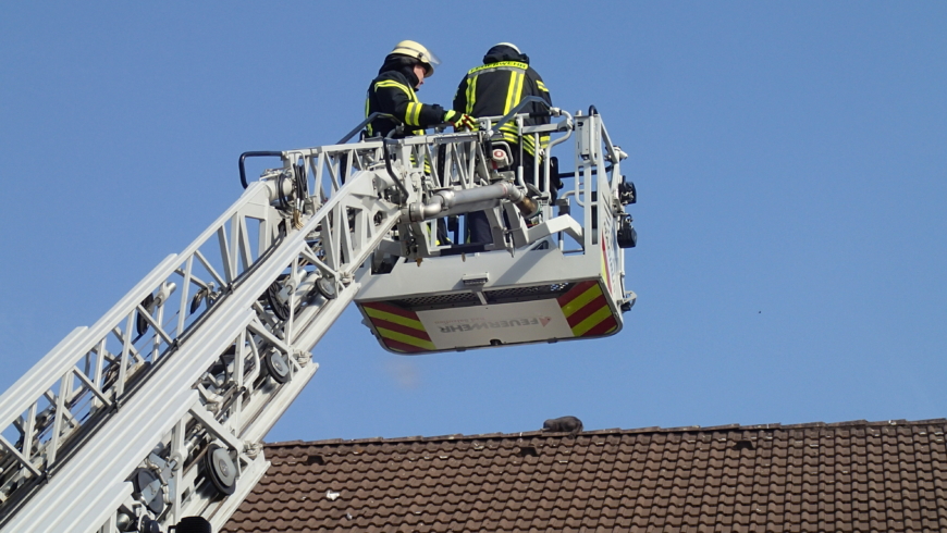 EB 326 „TH 0 – Katze auf einem Dach“ OT Knetterheide