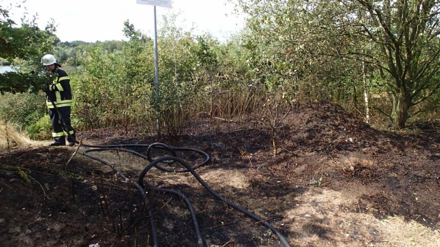 EB 369 „Feuer Fläche/Wald 2 – Rauchentwicklung auf einem Feld“ OT Holzhausen