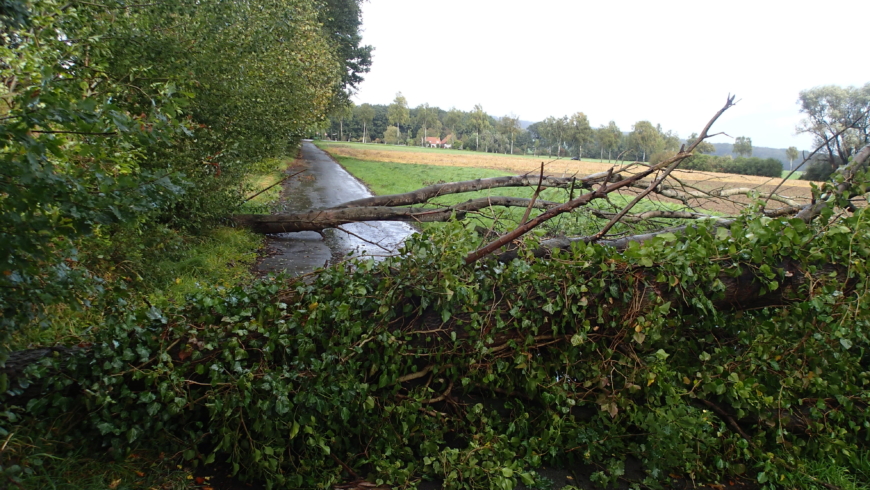 EB 467 „TH 1“ OT Retzen