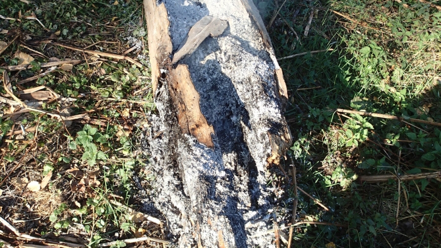 EB 620 „Feuer 1“ OT Schötmar