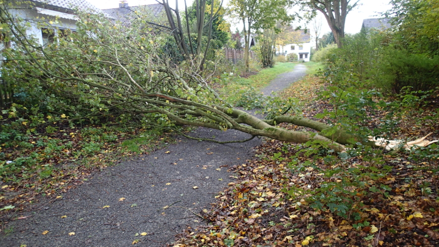 EB 495 „TH 1“ OT Werl-Aspe