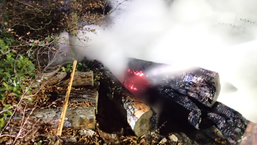 EB 598 „Feuer 1- brennt Holz am Waldrand“ OT Ehrsen- Breden