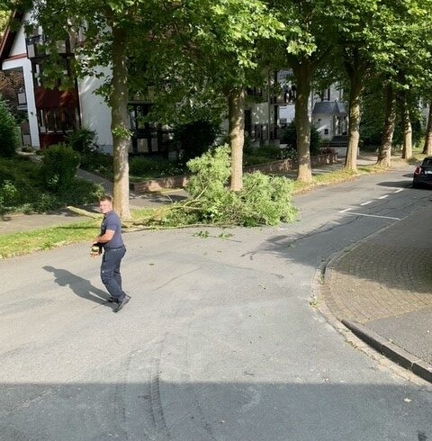 EB 465 „TH 1 -Baum auf der Fahrbahn“ OT Bad Salzuflen