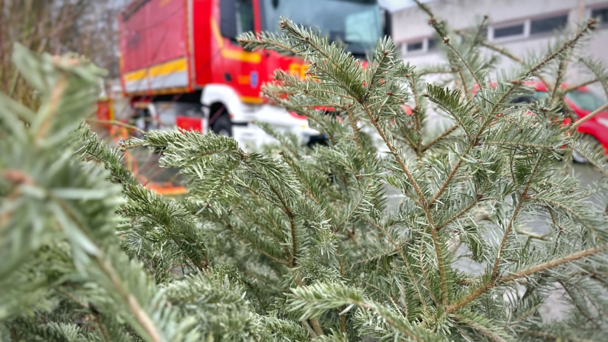Jugendfeuerwehr sammelt wieder Tannenbäume