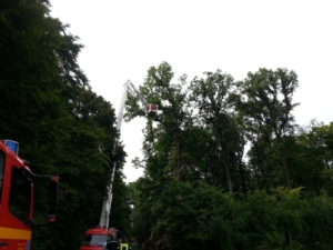 fw-07-unwetter2013-01