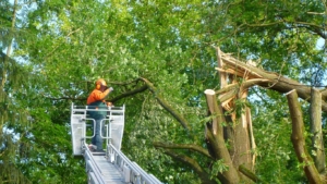 fw-08-einsatz-madr-03