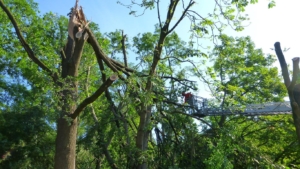 fw-08-einsatz-madr-04