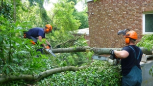 fw-08-einsatz-madr-05