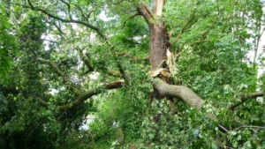 fw-08-einsatz-madr-06