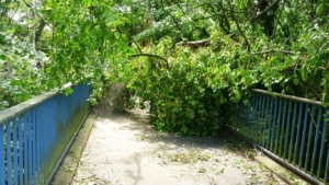 fw-08-einsatz-madr-07